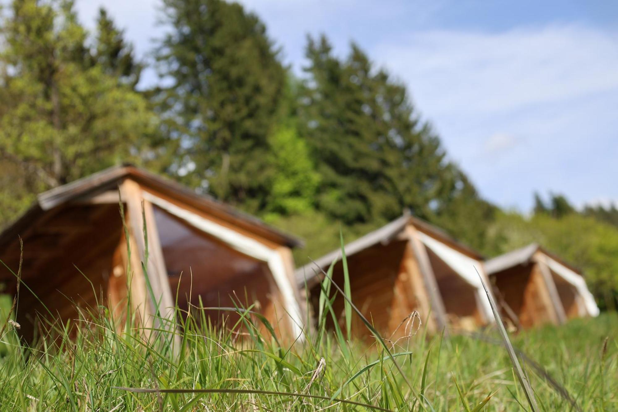 Mountain View Glamping Villa Dovje Екстериор снимка