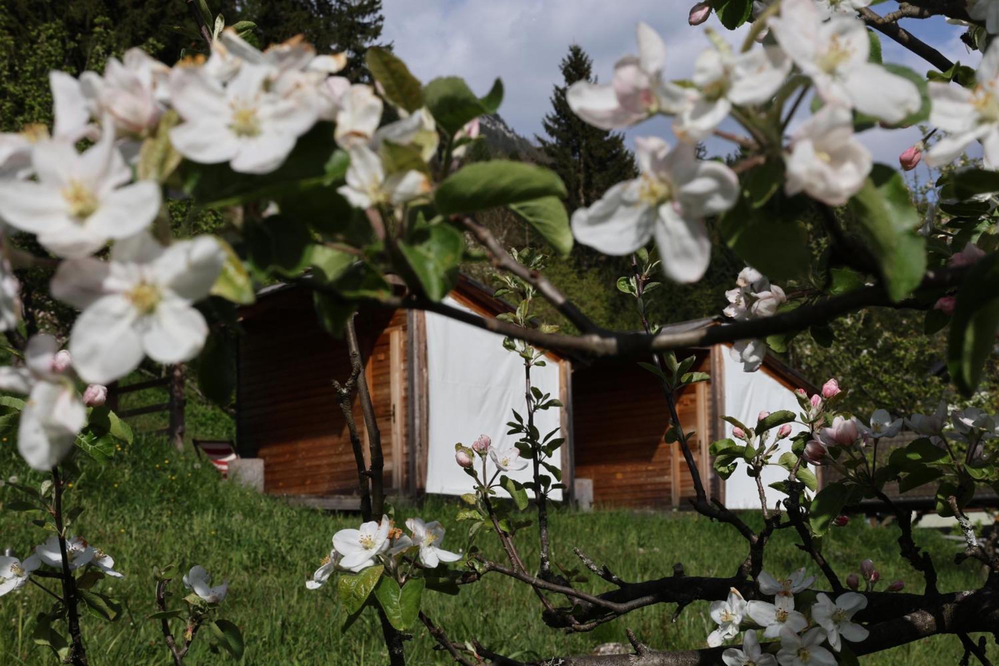 Mountain View Glamping Villa Dovje Екстериор снимка