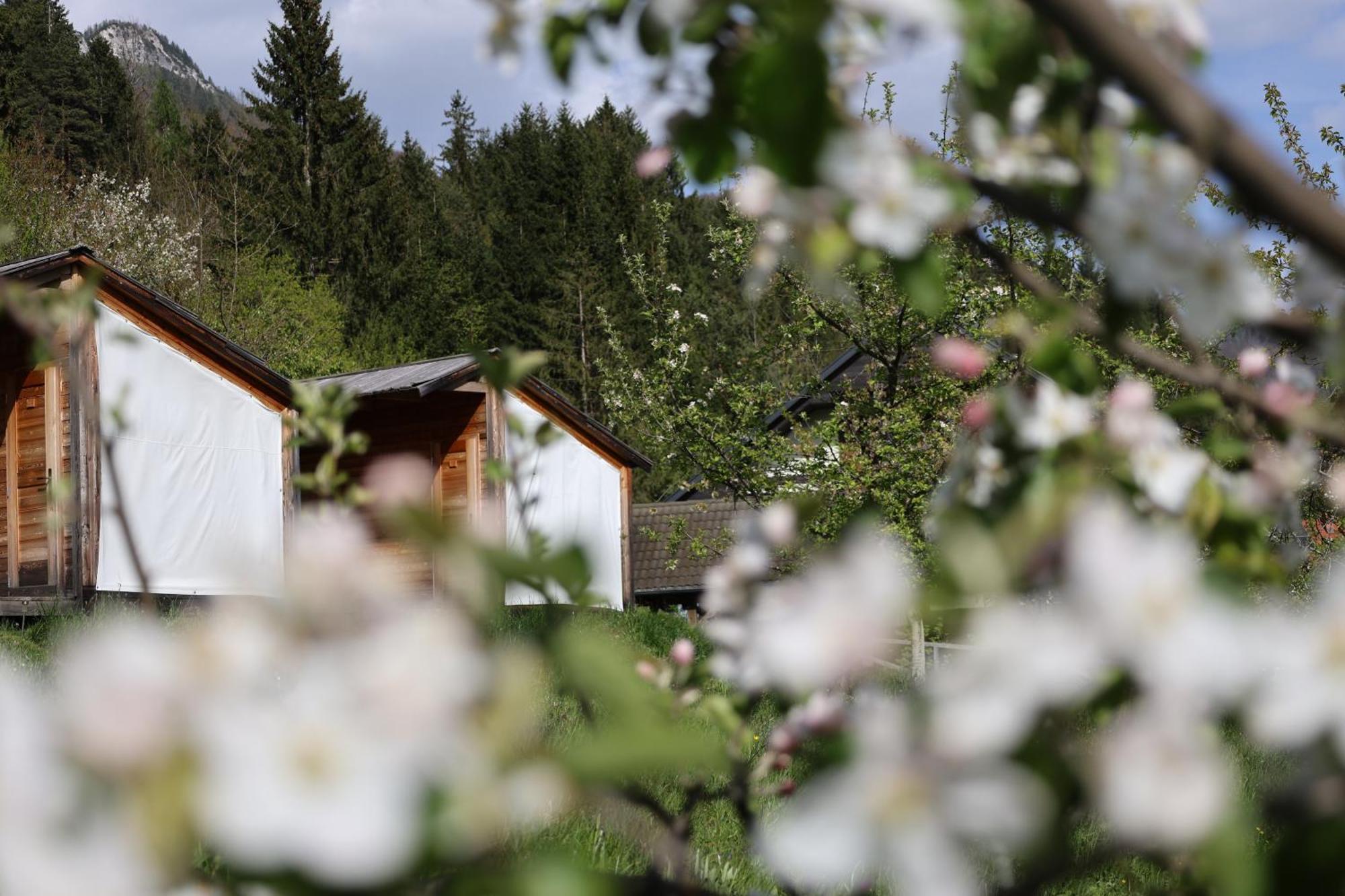 Mountain View Glamping Villa Dovje Екстериор снимка