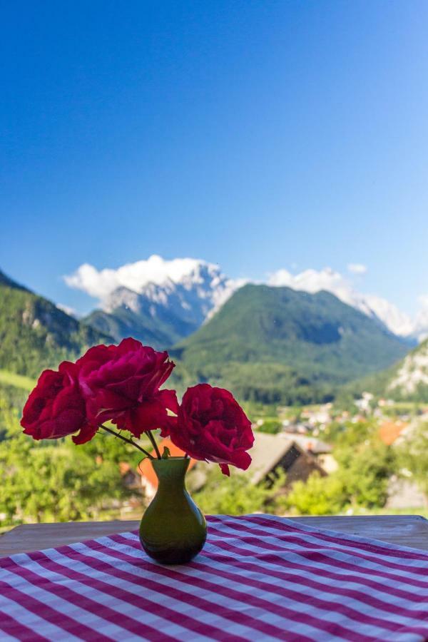 Mountain View Glamping Villa Dovje Екстериор снимка