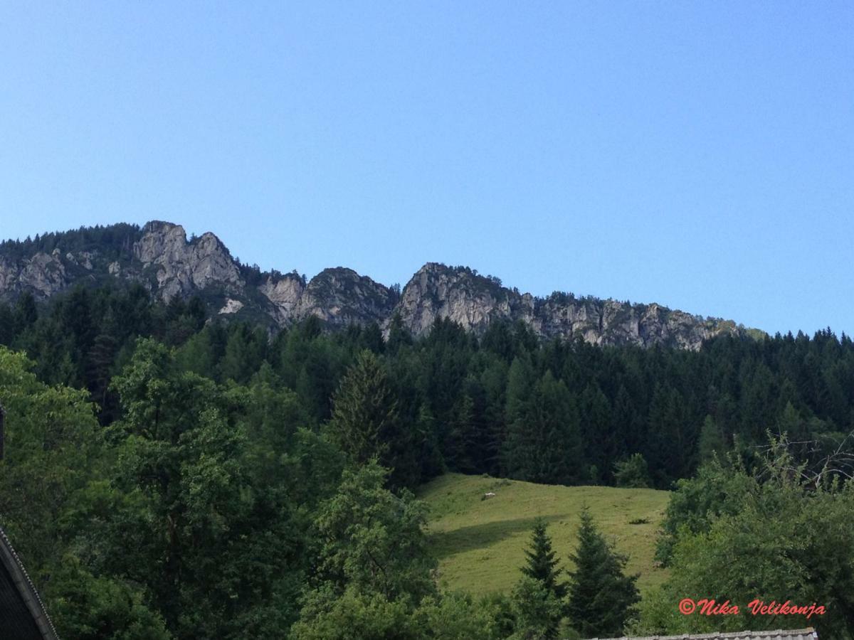 Mountain View Glamping Villa Dovje Екстериор снимка