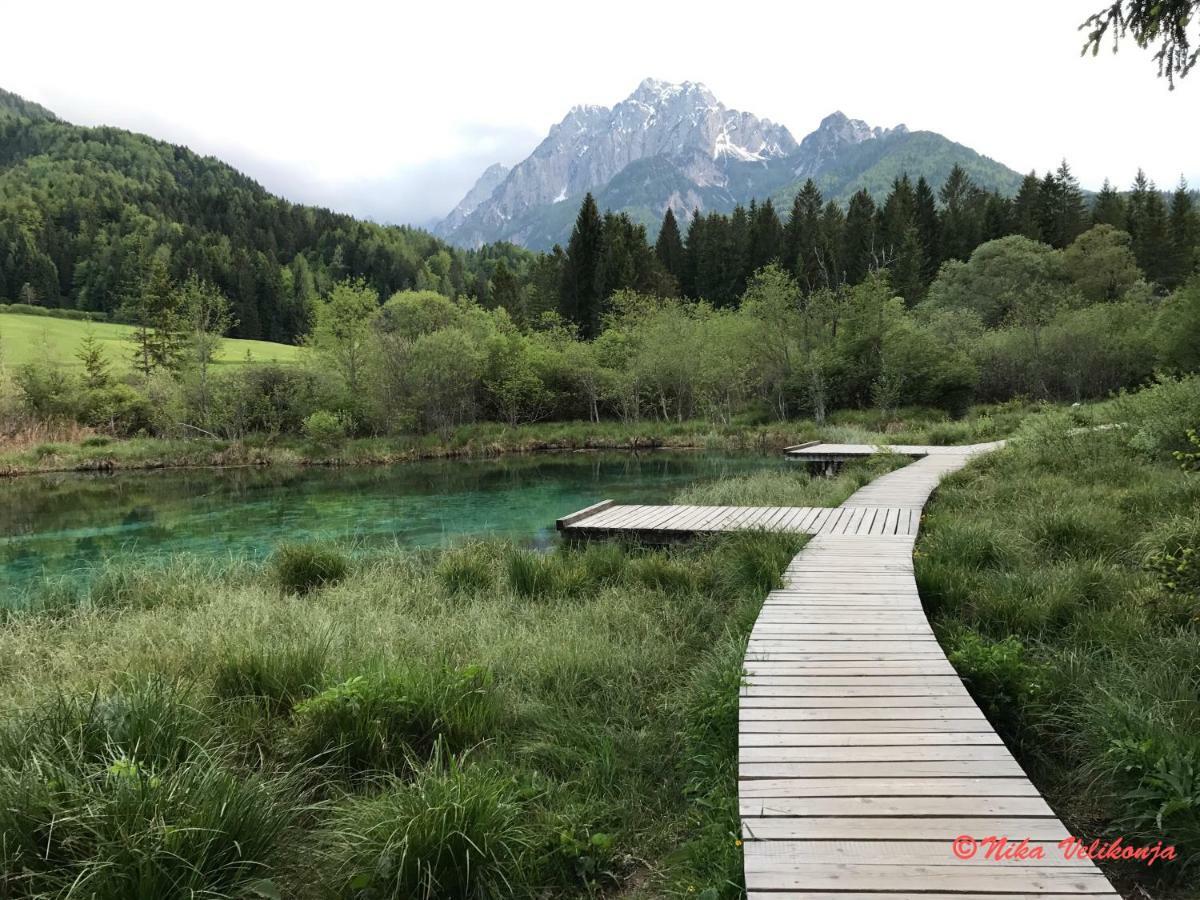 Mountain View Glamping Villa Dovje Екстериор снимка