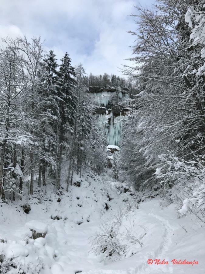 Mountain View Glamping Villa Dovje Екстериор снимка