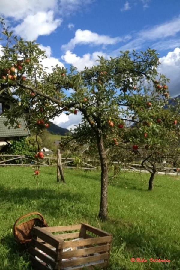 Mountain View Glamping Villa Dovje Екстериор снимка